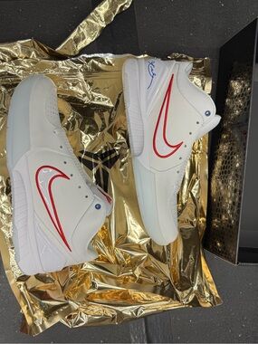Nike Kobe 4 Protro draft day pack Toronto raptors opened packaging DS